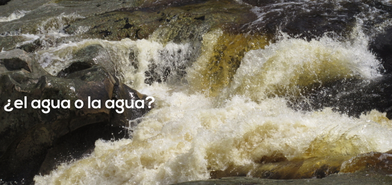 ¿El agua o la agua? Vamos a aprender español